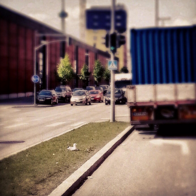 Lokki hautoo muniaan liikentejakaan tehdyssä pesässä. Helsinki.