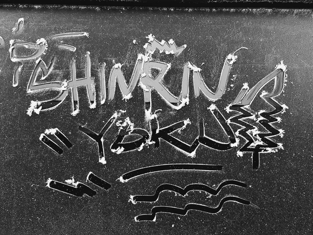 #504 – Shinrin Yoku tagi