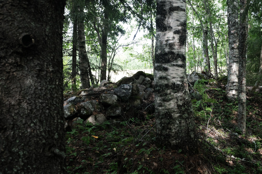 kivi roykkia pelto koivuja kuusia metsassa kivikasa