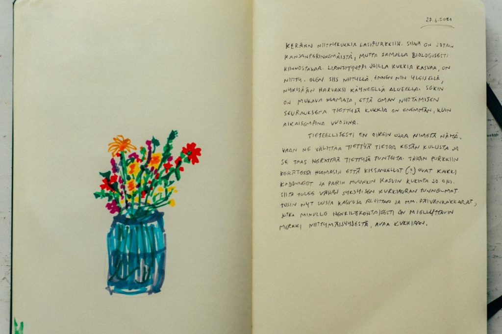 niitty kukkia juhannus lasi purkki paivan kakkara keto neilikka puna apila tussi piirros muistikirja-7