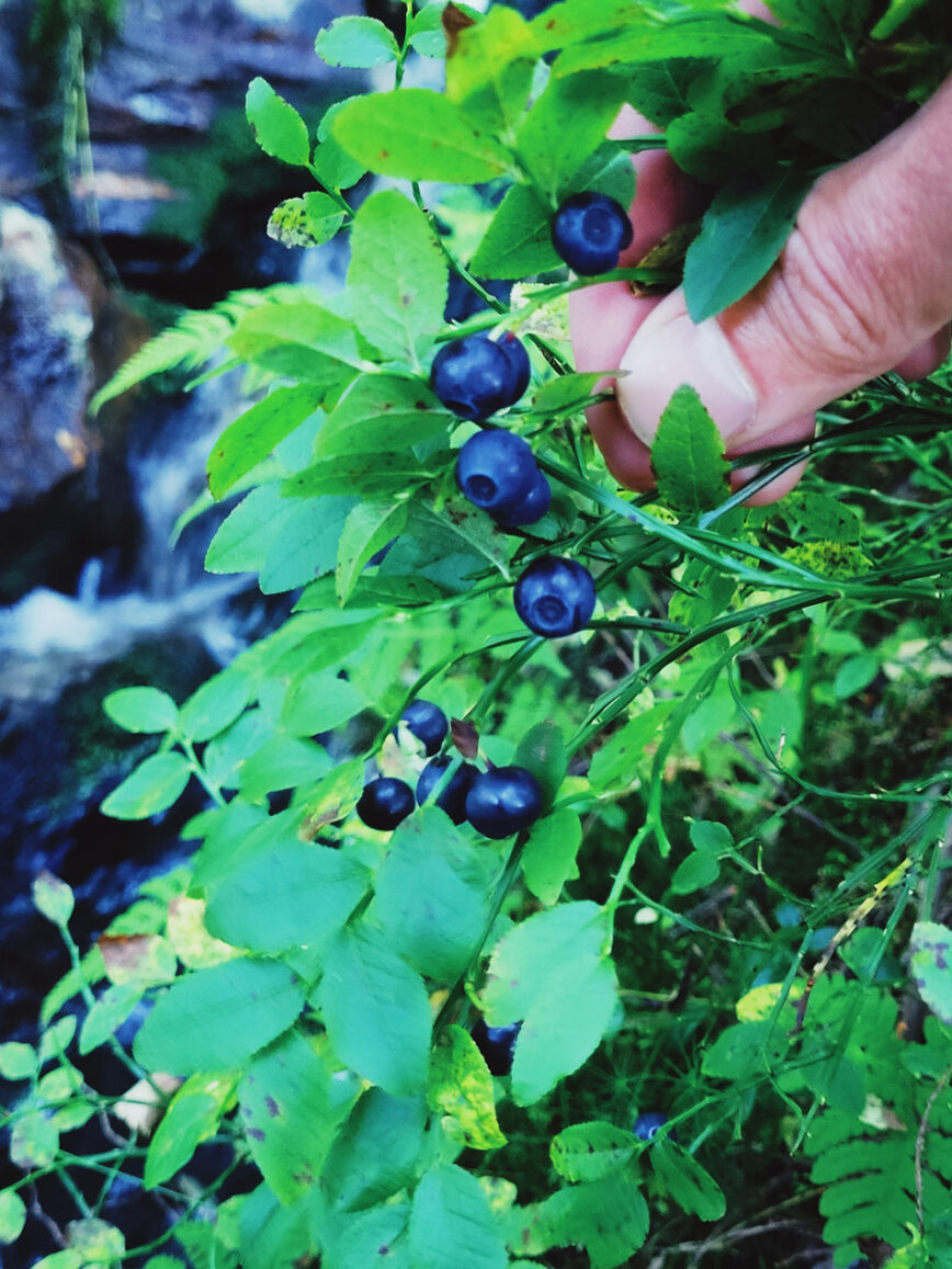 #897 – Puromustikkaa ja kahvinkeittoa ilman toimivaa kahvinkeitintä